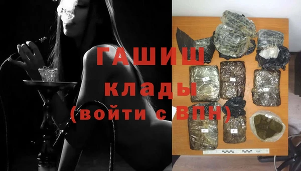 сатива Алзамай