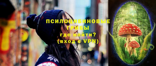 твердый Алексеевка