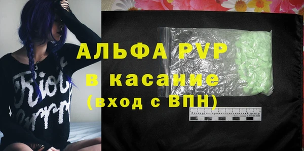 сатива Алзамай