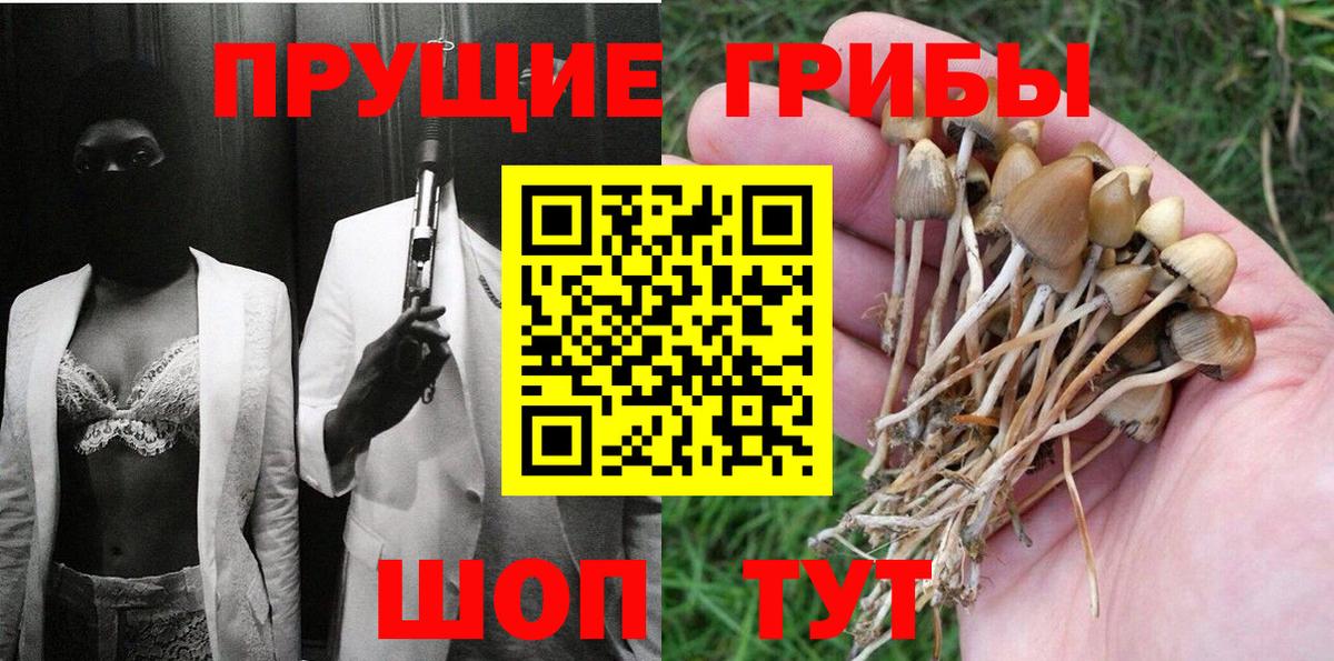 хочу   Псилоцибиновые грибы Psilocybine cubensis  Вход с VPN  Троицк 